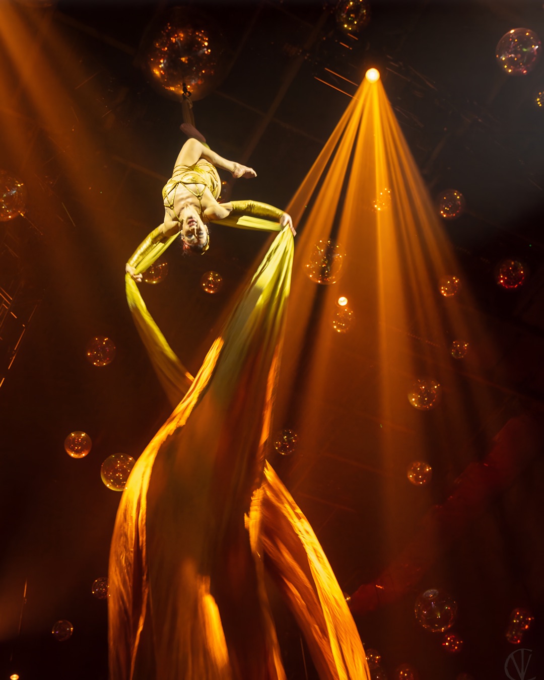 Circensia aerialist performing on gold silks